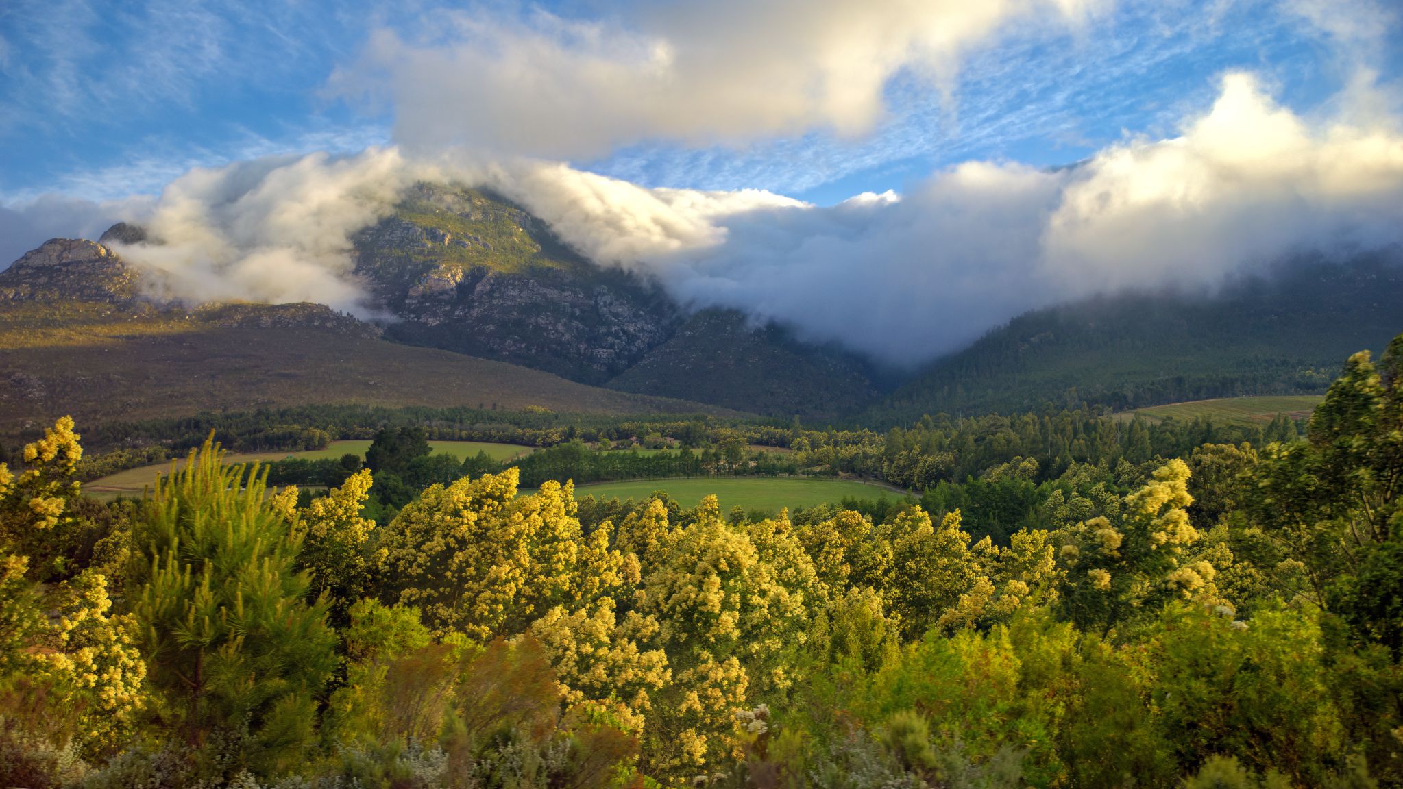 Auf dem Weg von Oudtshoorn nach Wilderness: Temperaturunterschiede zwischen den warmen Landluftmassen und den kälteren Meeresluftmassen, die aus dem Süden hereinströmen, führen zu einer Art Wolkenteppich.